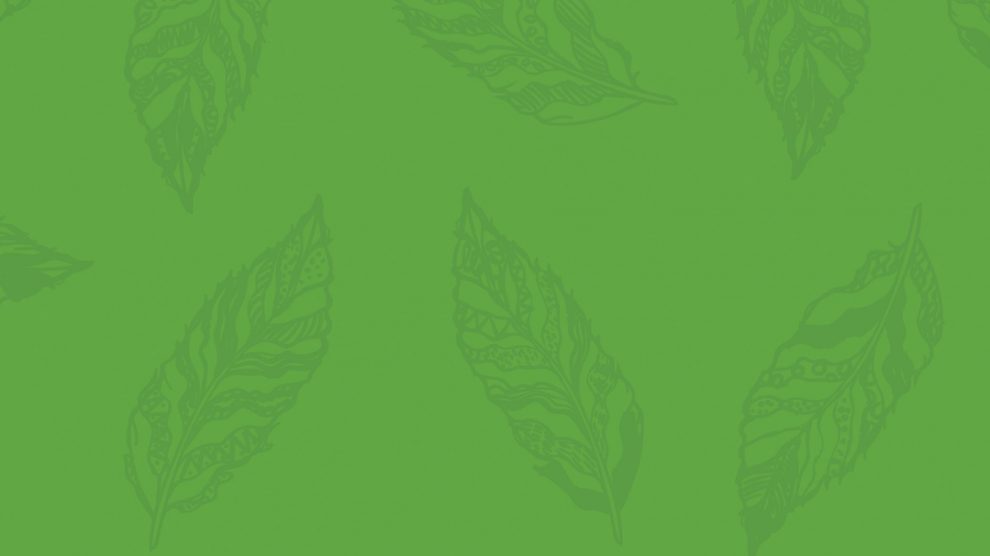 futurpreneur